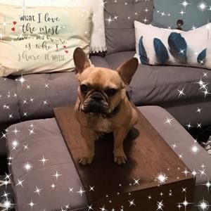 Meet your Posher, Rosanne